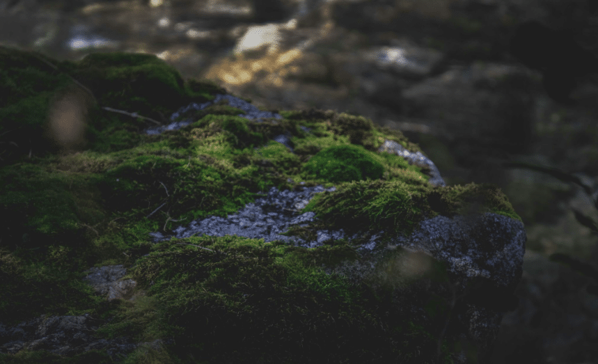 Image default