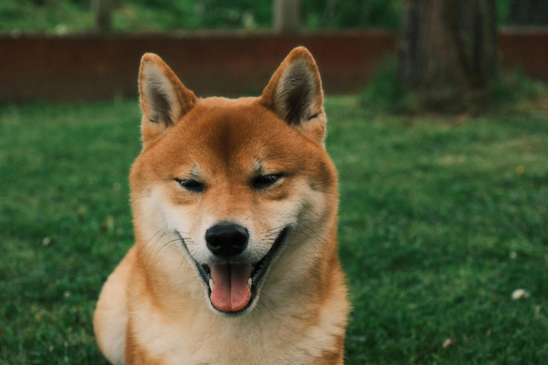 Image default